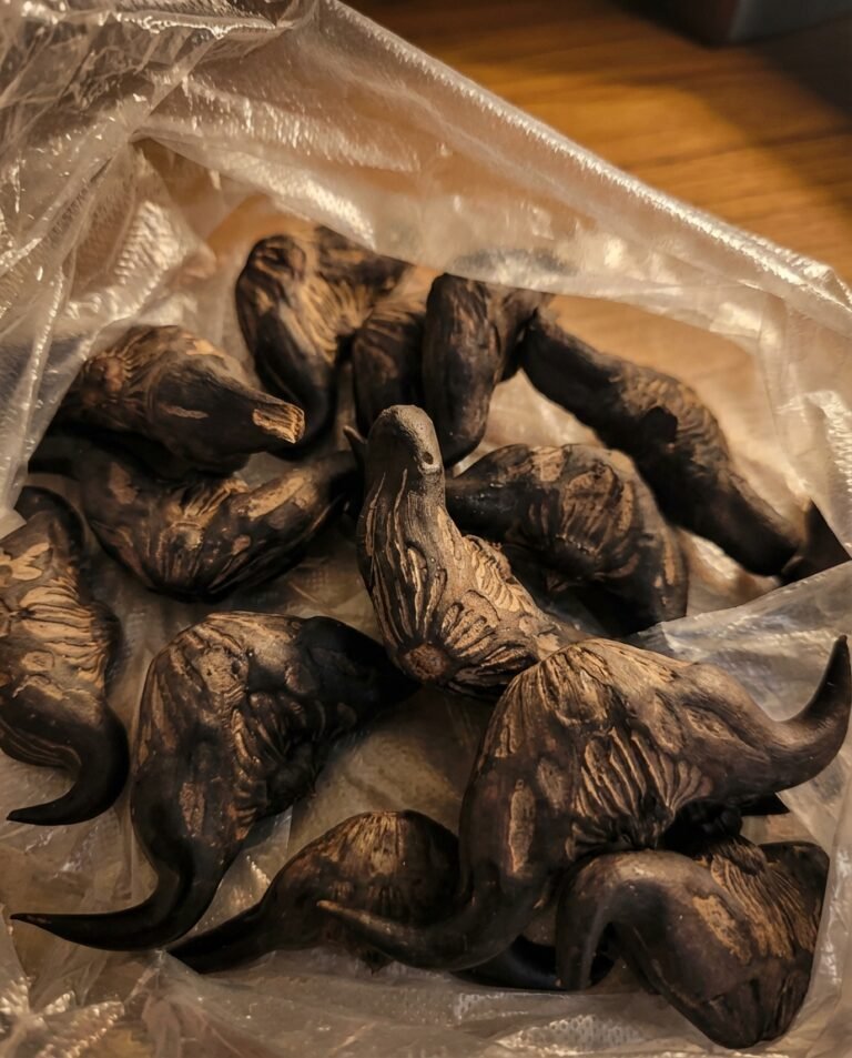 A Stranger’s Gift Turned Delicious: How to Identify and Eat It
