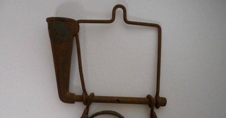 Can You Identify This Brass Beauty?