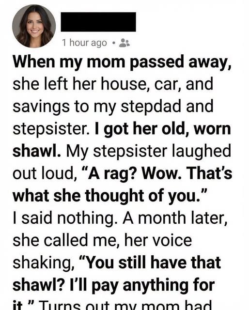 My Sister Celebrated Stealing Our Family Estate and Leaving Me Homeless, But When the Lawyer Started Laughing, She Had No Idea a Secret Clause Just Cost Her Everything