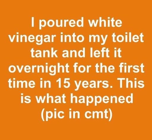 I Added White Vinegar to My Toilet Tank Overnight After 15 Years — The Result Surprised Me