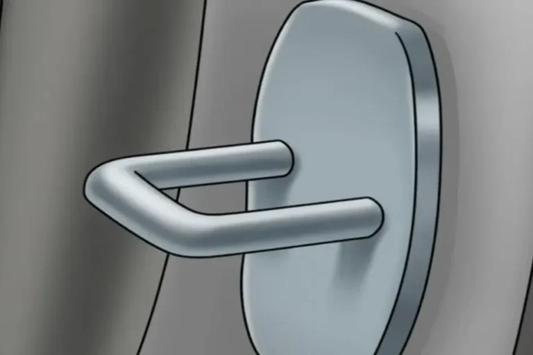 The Hidden Job of That Little Hook on Your Car Door