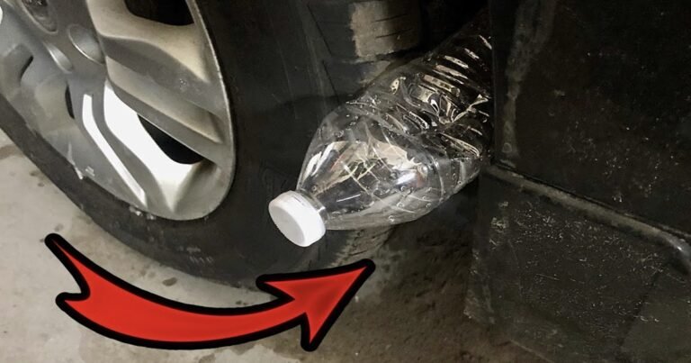 If You See A Plastic Bottle On Your Tire, This is What It Might Mean