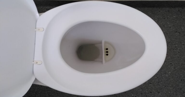 What It Is And Why There’s A Strange Shelf Inside Some Toilets