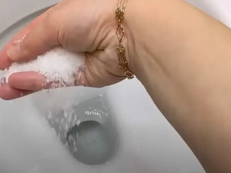 Why Putting Salt In Your Toilet Is A Little-Known Tip From Plumbers