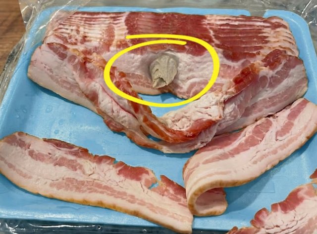 I went to the store and bought some bacon, brought it home to eat. When I opened the package…