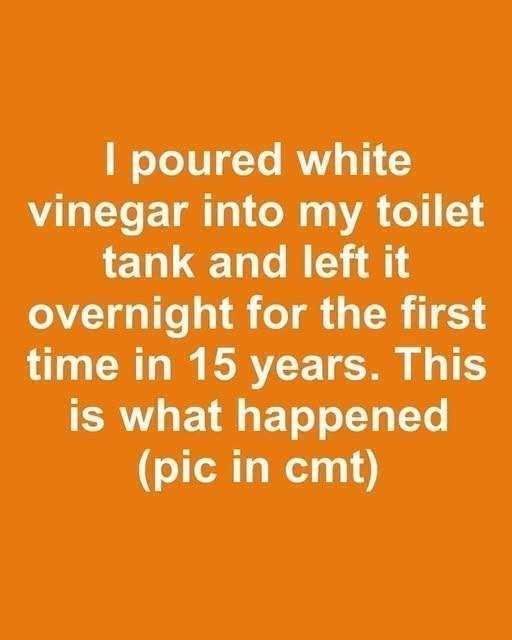 I poured white vinegar into my toilet tank and left it overnight for the first time in 15 years. This is what happened