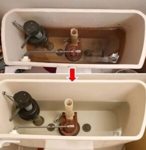 How to Clean Your Toilet Flush and Make It Look Like New