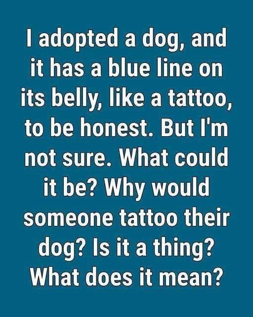 Veterinarians and animal shelters often place a small blue or green tattoo See Here