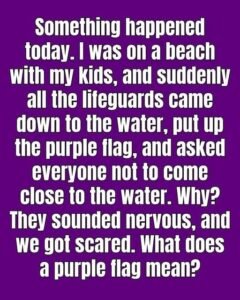 The Meaning Behind Purple Beach Flags and Why They Matter for Your Safety