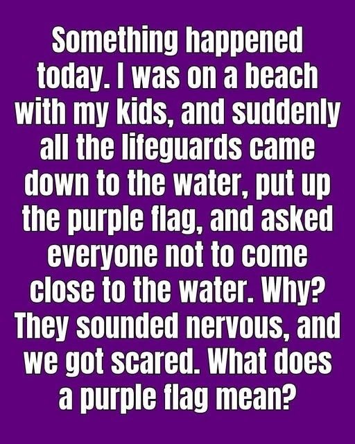 The Meaning Behind Purple Beach Flags and Why They Matter for Your Safety
