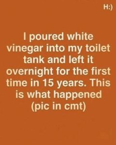 my toilet tank and left it overnight
