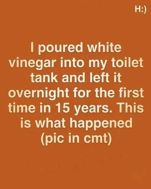 my toilet tank and left it overnight