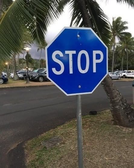 We Came Across This Blue Stop Sign — And Yes, It Actually Means Something Different