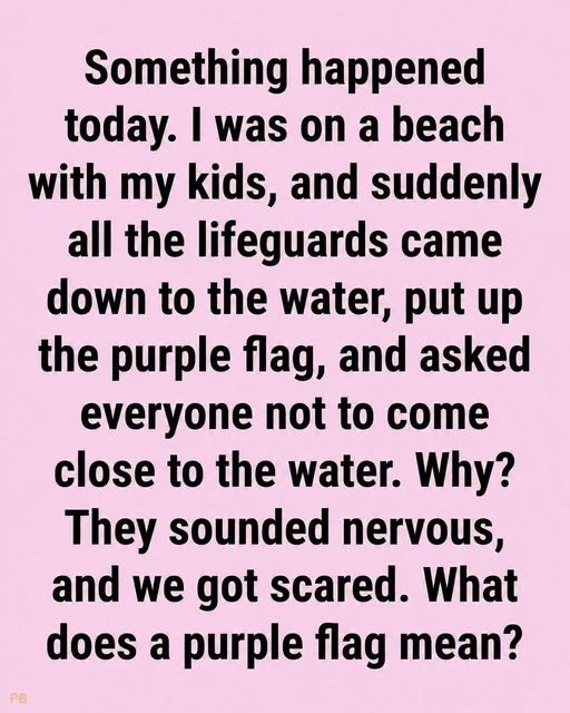 DANGER IN THE WATER WHY THAT PURPLE FLAG AT THE BEACH COULD SAVE YOUR LIFE