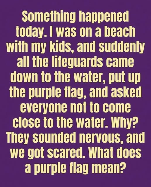 The Purple Flag at the Beach: What It Really Means and Why You Should Pay Attention See Why