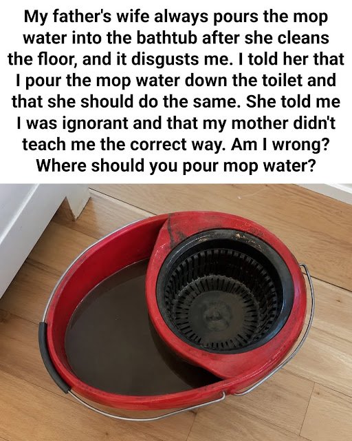Where to Dispose of Dirty Mop Water: Toilet or Bathtub?