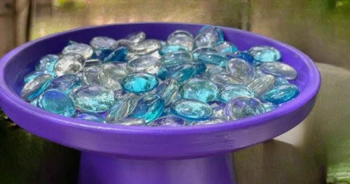 Creating a Bee Watering Station with Marbles: A Simple, Thoughtful Addition to Your Garden