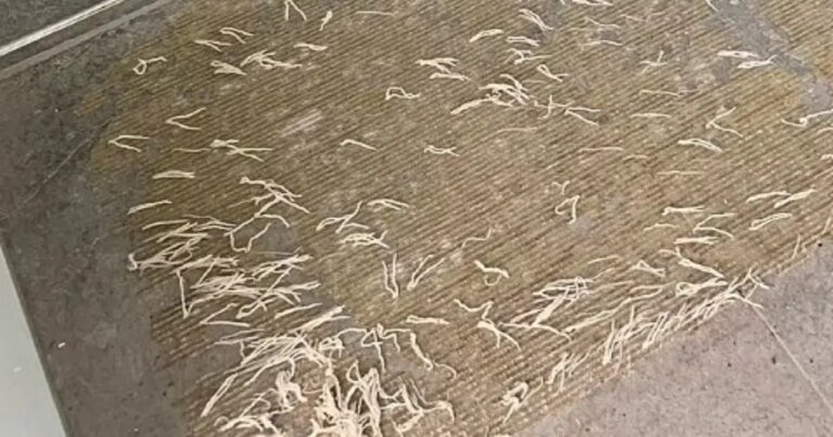 Desperate Mom Asks for Help After ‘Shocking’ Find in Her Bathroom