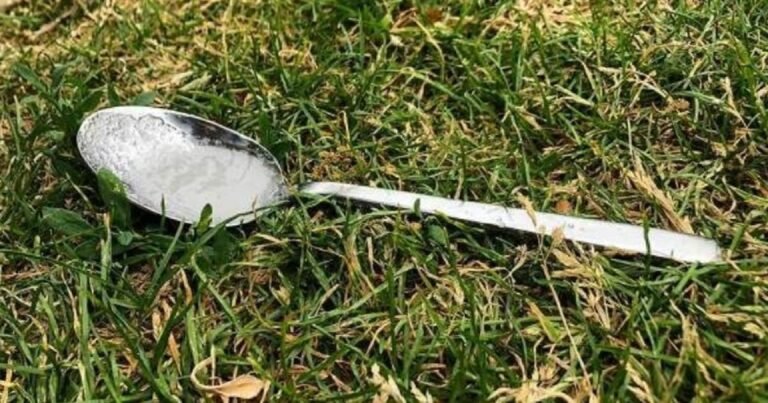 Always Leave a Spoon Of Sugar In Your Backyard Before You Leave Home