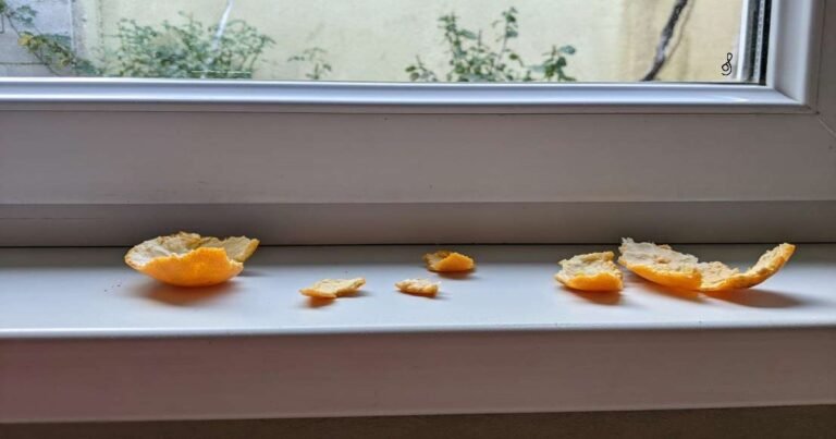 Don’t Toss Tangerine Peels! Put Them on Your Windowsills Instead