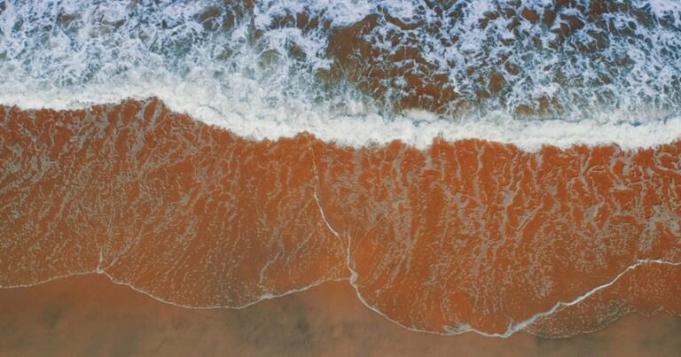 Why Does the Ocean Turn Red, and How Do You Stay Safe?