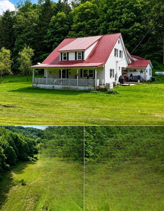 75 Acres of Open Land: Privacy, Nature, and Possibilities for the Future