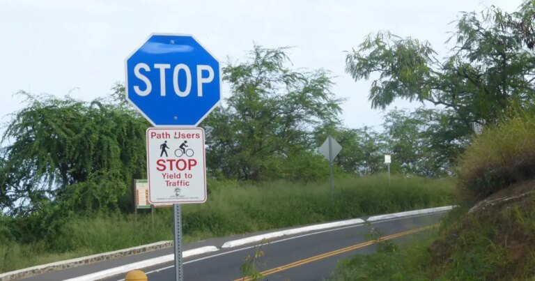 The Meaning Behind a Blue Stop Sign