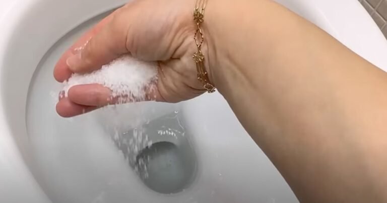 Why Putting Salt In Your Toilet Is A Little-Known Tip From Plumbers