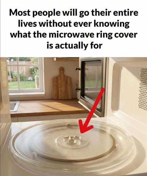 That “Little Ring” in Your Microwave Actually Matters See Reason Here