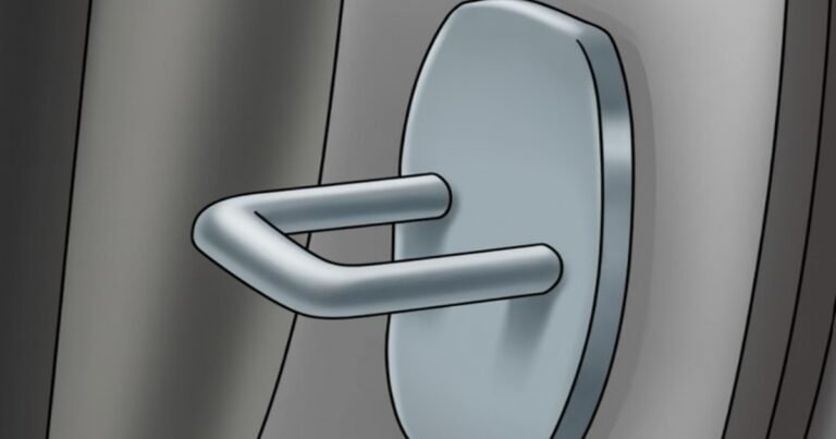 The Hidden Purpose of That Small Hook on Your Car Door