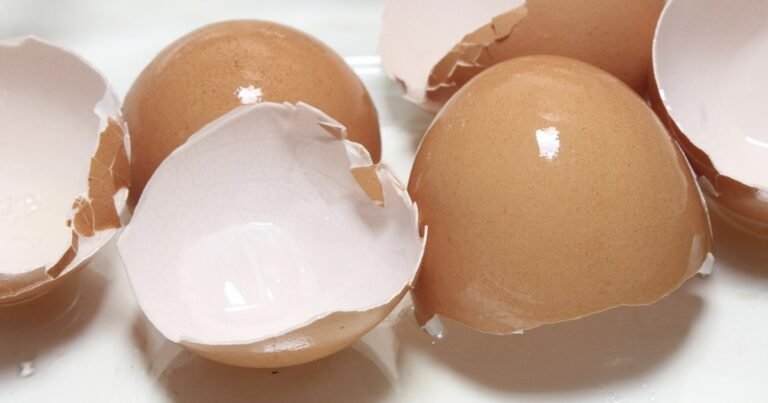 Why Do Gardeners Hang Eggshells in the Garden?