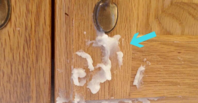 5 Cleaning Hacks That Will Make Your Kitchen Cabinets Look Brand New