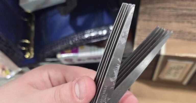 What Are Those Multi-Blade Herb Scissors Actually For?