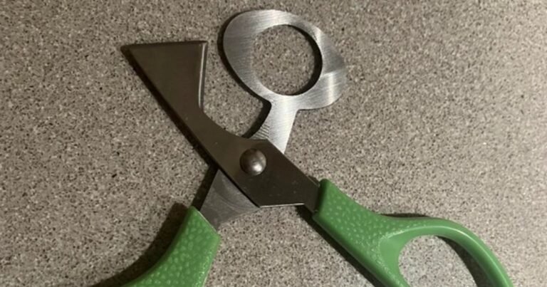 What Are Those Strange Scissors in the Kitchen Drawer Do You Know