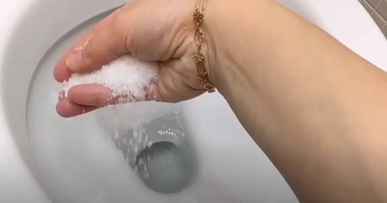 Why Putting Salt In Your Toilet Is A Little-Known Tip From Plumbers See Here