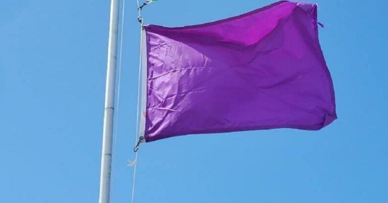 The Meaning of a Purple Flag at the Beach