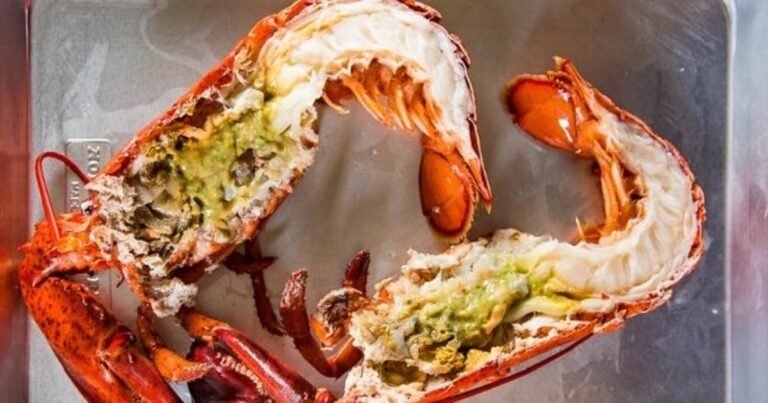 The Mystery of Lobster’s Green Goodies