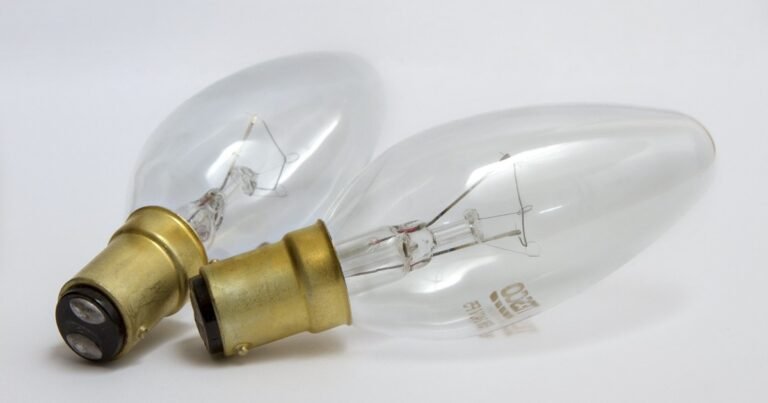 Choose Light Bulbs Wisely for Energy Efficiency
