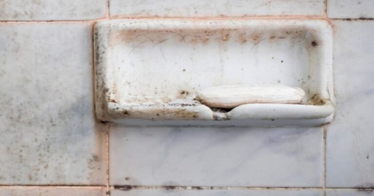 What It Means If You See Pink Slime in Your Bathroom