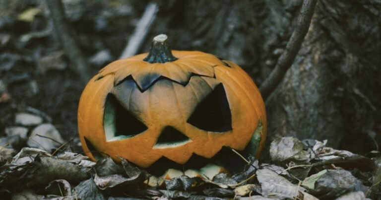 The Popular Halloween Decoration That’s Putting Wildlife at Risk