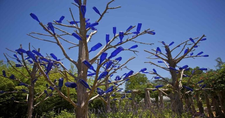 Here’s What Glass Bottles on Trees Mean