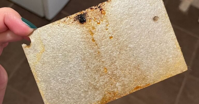 What Is That Cardboard-Looking Piece Inside Your Microwave?