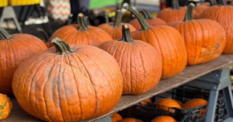 Is a Pumpkin a Vegetable or a Fruit?